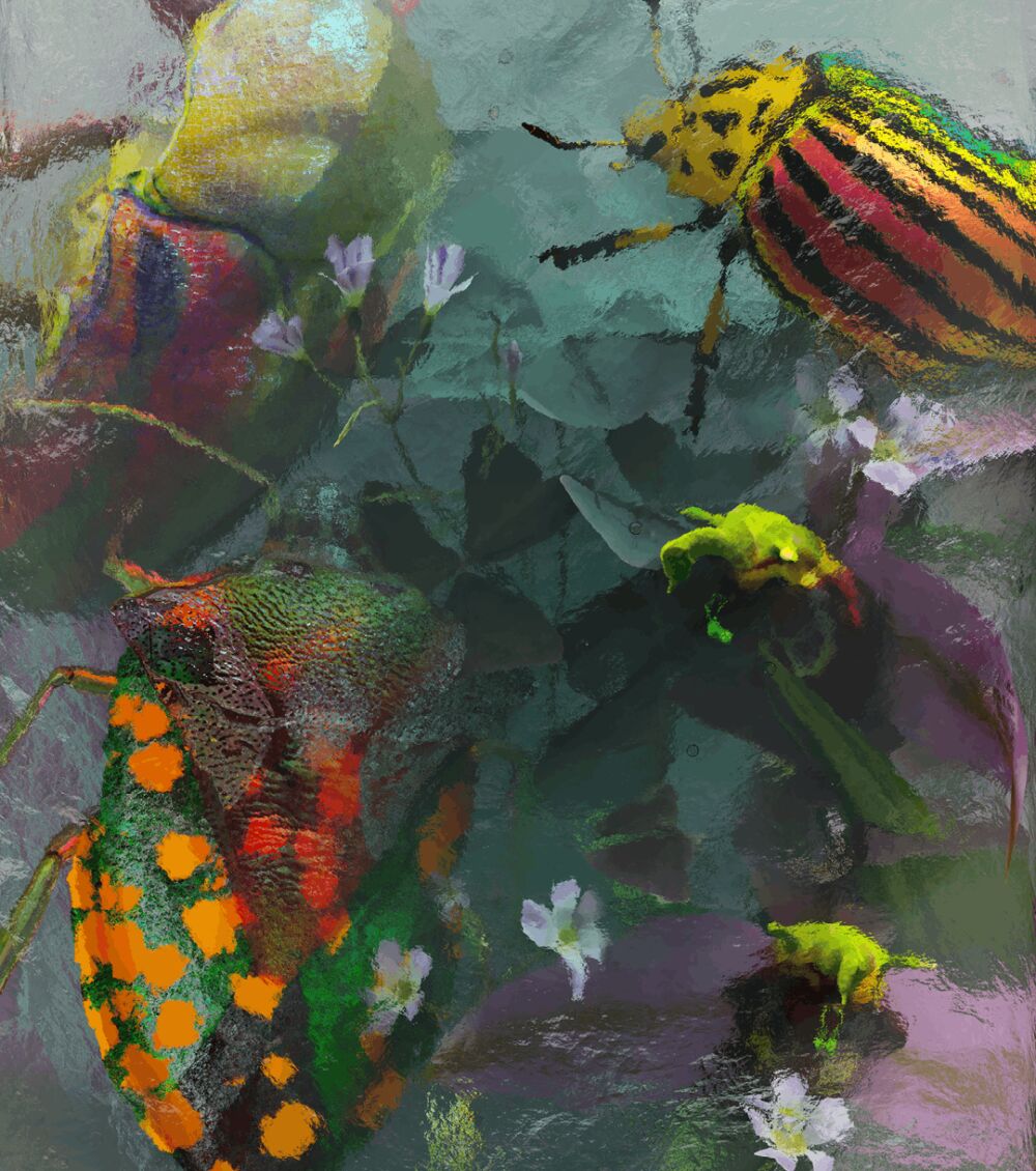 BBC Earth: Rewilding Creativity